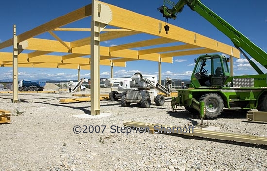 near botanique graphic