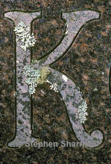 cemetery lichens 19 graphic