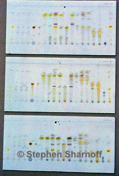 thin layer chromotography graphic