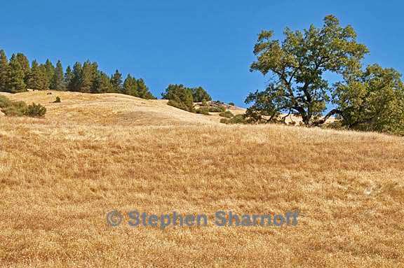 mendocino pass graphic