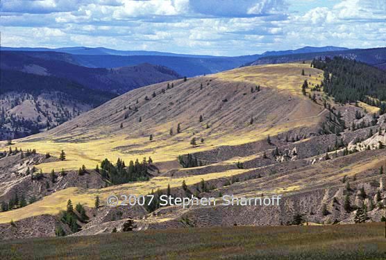 british columbia interior 1 graphic