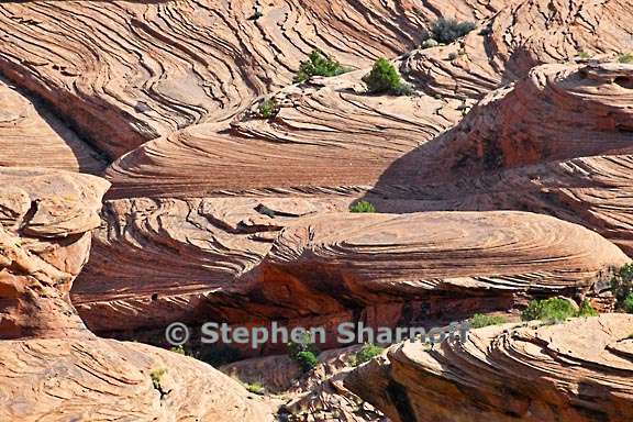 canyon chelly 3909 8 graphic