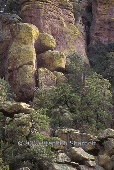 chiricahua cliffs graphic