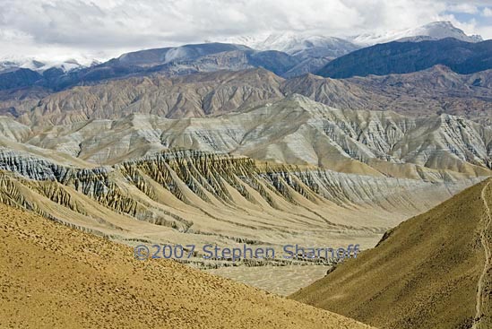 hills and peaks mustang 1 graphic