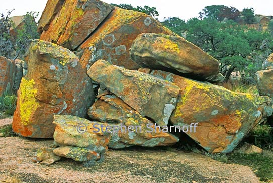 lichen rocks texas graphic