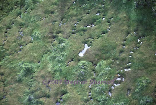 muskeg alaska aerial 1 graphic