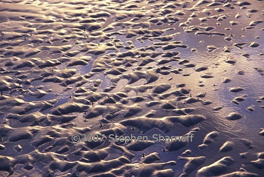 beach pattern 3 graphic