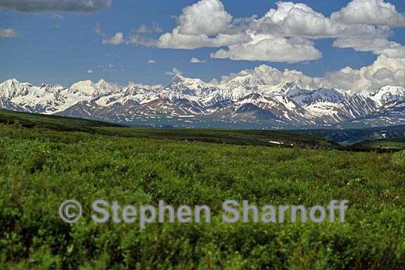 alaska mountains 1 graphic