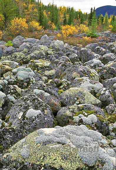 boulderfield quebec graphic