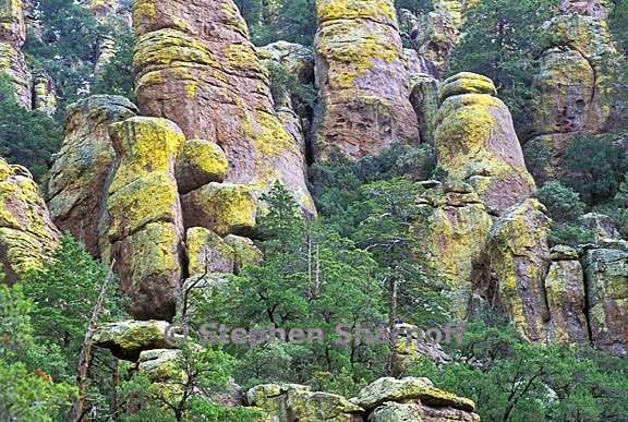 chiracahua cliffs 1 graphic