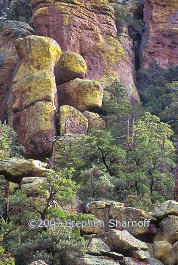 chiracahua cliffs 2 graphic