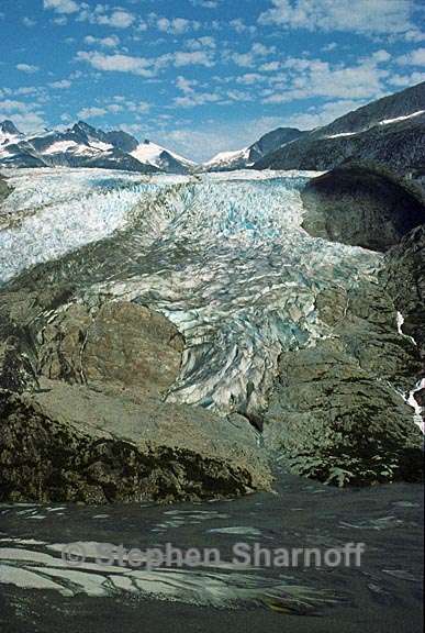 herbert glacier 1 graphic