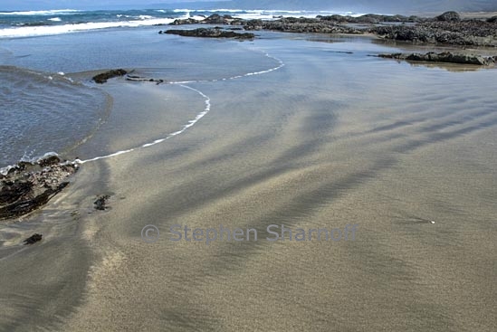 low tide 1 graphic