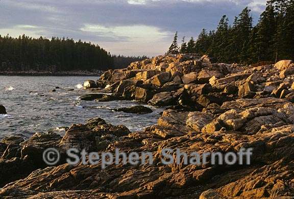 maine shoreline graphic