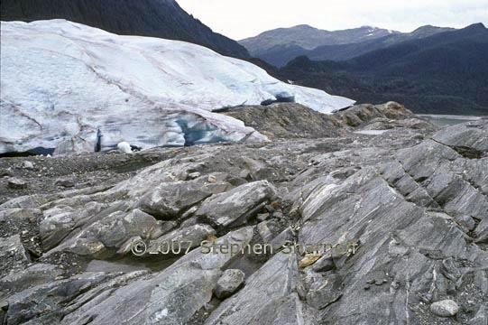 mendenhall glacier graphic