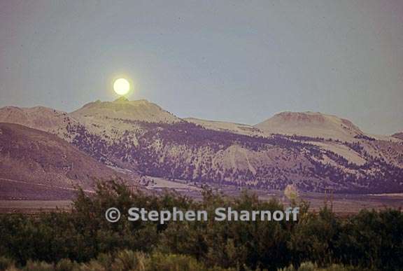 moon mono craters graphic