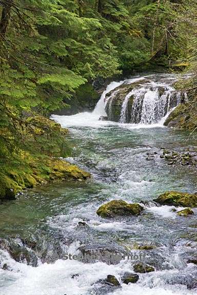 opal creek stream graphic