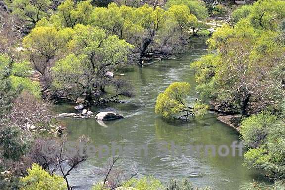 riparian habitat graphic