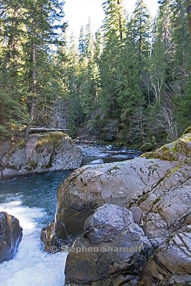 south santiam river graphic