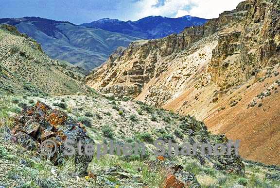 spar canyon graphic