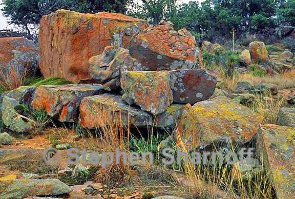 enchanted rock 3 graphic