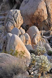 joshua tree rocks thumbnail graphic