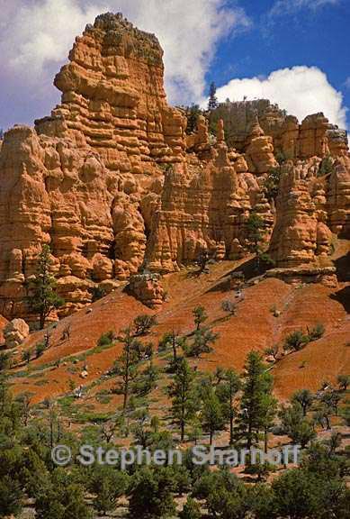 zion cliffs graphic