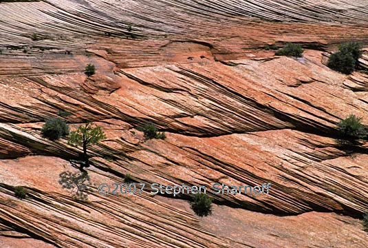 zion rock slope graphic