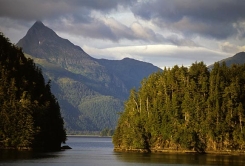 inside passage thumbnail graphic