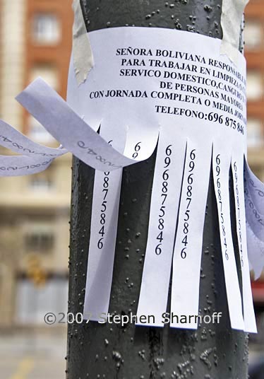 senora boliviana graphic