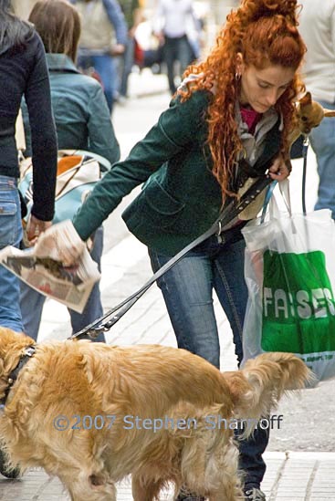 woman with dog graphic