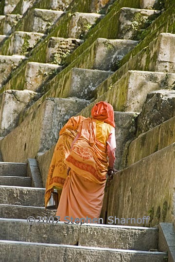 woman stairs graphic