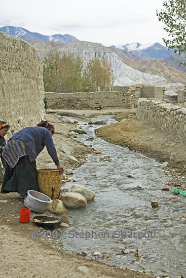 woman washing grain graphic