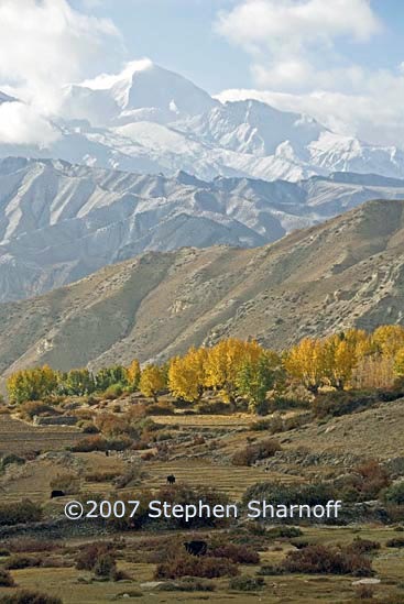 fields peaks gehling 2 graphic