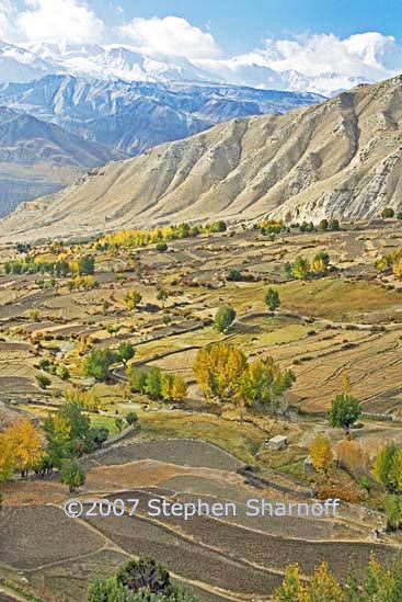 fields peaks gehling 5 graphic