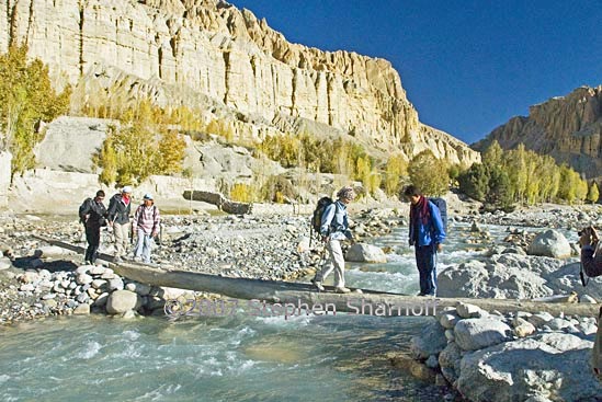 group bridge graphic