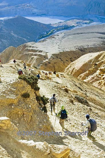 siyarko descent graphic