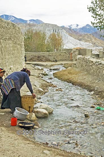 woman washing grain graphic