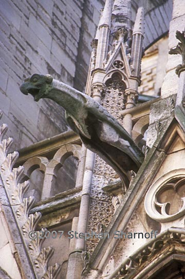 gargoyle graphic