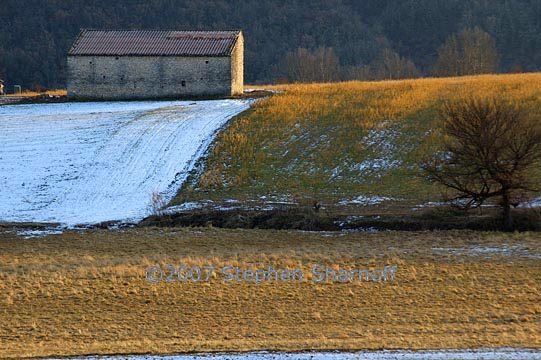 field barn winter graphic