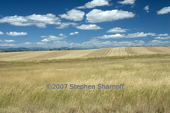 valensole plateau graphic