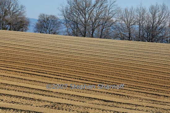 plowed field graphic